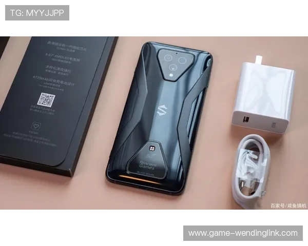 问鼎旗舰厅下载官网手机版安全保障措施，确保每一位玩家的游戏环境安全